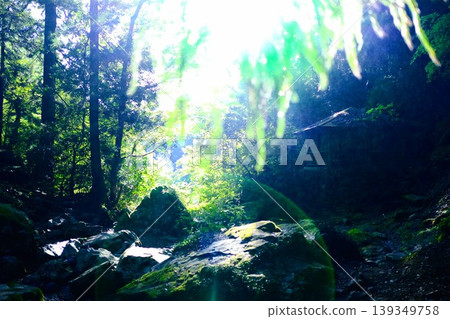 清晨,鬱鬱蔥蔥的森林和河流構成了一幅美麗的景象。 清晨,鬱鬱蔥蔥的森林和河流構成了一幅美麗的景象。 139349758