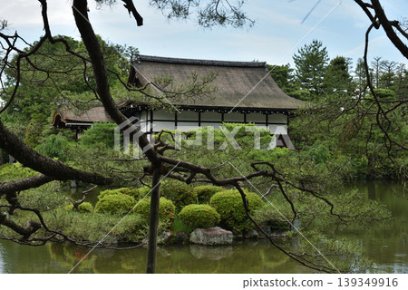 初夏時的平安神宮：東庭、聖門和寶池（京都市左京區） 139349916