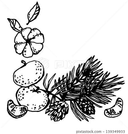 Pine branch with pine cones and mandarins Pine branch with pine cones and mandarins 139349933