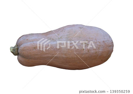 Pink banana winter squash organic vegetable produce Pink banana winter squash organic vegetable produce 139350259