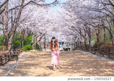 Seoul, South Korea - Apr. 02, 2026 : Scenic Spring Landscape of Cherry Blossom Path in Seoul Forest Seoul, South Korea - Apr. 02, 2026 : Scenic Spring Landscape of Cherry Blossom Path in Seoul Forest 139350327