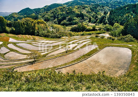 Oyama Senjita Oyama Senjita 139350843