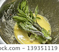 Preparing tempura made with buds of the Japanese angelica tree. 139351119