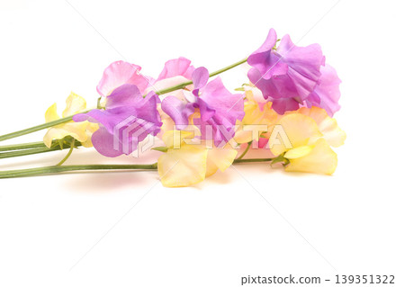 White background sweet pea 139351322