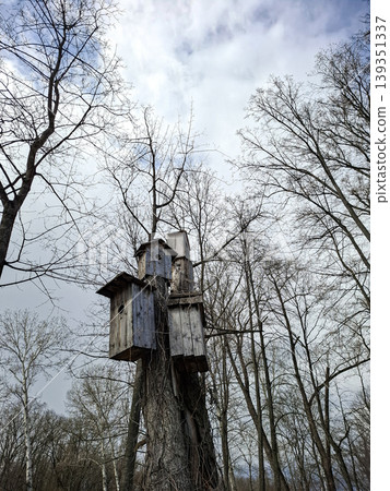 Four wooden birdhouses are attached to a tall tree trunk. The tree stands bare against a cloudy spring sky. The scene shows no signs of leaves. Four wooden birdhouses are attached to a tall tree trunk. The tree stands bare against a cloudy spring sky. The scene shows no signs of leaves. 139351337