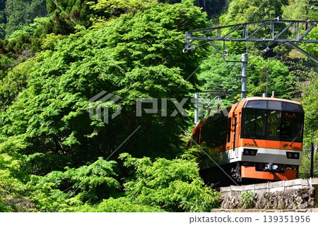 Railway, train, Kyoto, Mount Eizan, Eiden, Rakuhoku, Kurama, Kibuneguchi, fresh greenery, green, May, wind Railway, train, Kyoto, Mount Eizan, Eiden, Rakuhoku, Kurama, Kibuneguchi, fresh greenery, green, May, wind 139351956