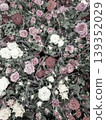 Many small roses in pink, white, and red colors fill the scene. Leaves surround the flowers, creating a thick and colorful pattern. This view captures the beauty of blossoms in a close arrangement. 139352029