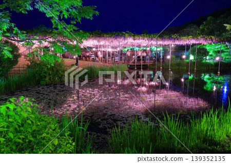 足利花卉公園 足利花卉公園 139352135