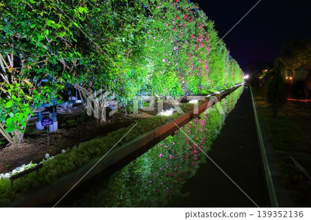 足利花卉公園 139352136