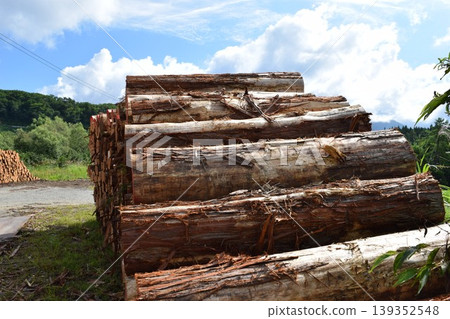 Logs of cut cedar Shonai, Yamagata Prefecture Logs of cut cedar Shonai, Yamagata Prefecture 139352548