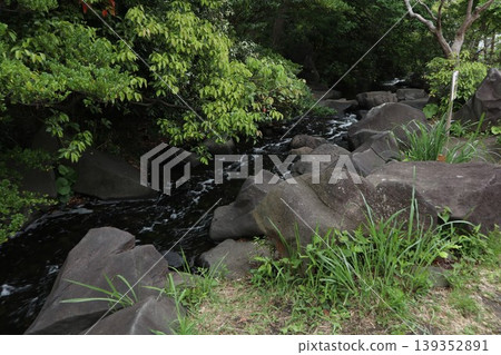 Shinagawa Kenmin Park Shinagawa Kenmin Park 139352891