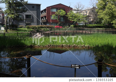 Ota Ward Heiwanomori Park Ota Ward Heiwanomori Park 139353105