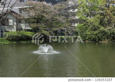 Ota Ward Heiwanomori Park Ota Ward Heiwanomori Park 139353107