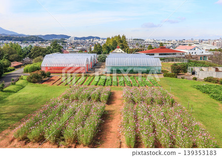 福岡縣北九州市農業中心花之岡公園 139353183