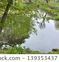 Scenery with a pond 139353437