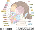 Facial muscles, temporal region, with color-coded names (including hairstyles). 139353836