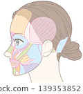 Facial muscles, temporal region, no specific name (hair style shown) 139353852