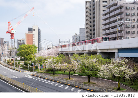 [Keikyu Main Line] Local train passing by a park with cherry blossoms in bloom. 139353918