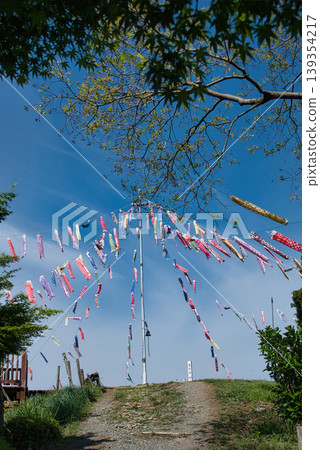 Carp streamers at the summit of Mt. Ohira 139354217