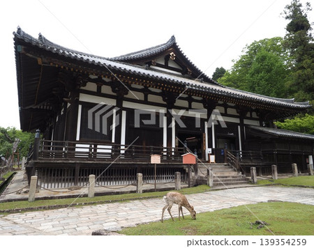 The spirit of the ancient capital, Nara. Wild deer graze beneath the imposing roof of the Daikokuden Hall. The spirit of the ancient capital, Nara. Wild deer graze beneath the imposing roof of the Daikokuden Hall. 139354259