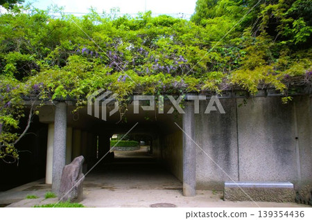 山崎公園 山崎公園 139354436