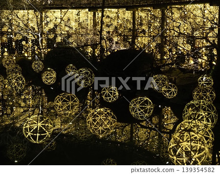 Toji Light Up Toji Light Up 139354582