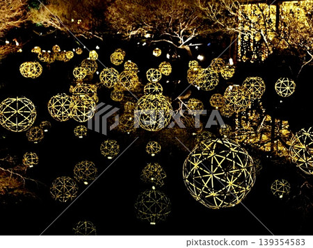 Toji Light Up Toji Light Up 139354583