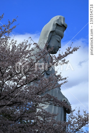 Somei Yoshino cherry blossoms in full bloom and Takasaki Hyakue Kannon Somei Yoshino cherry blossoms in full bloom and Takasaki Hyakue Kannon 139354718