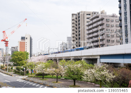 【京急本線】特快列車駛過櫻花盛開的公園。 【京急本線】特快列車駛過櫻花盛開的公園。 139355465