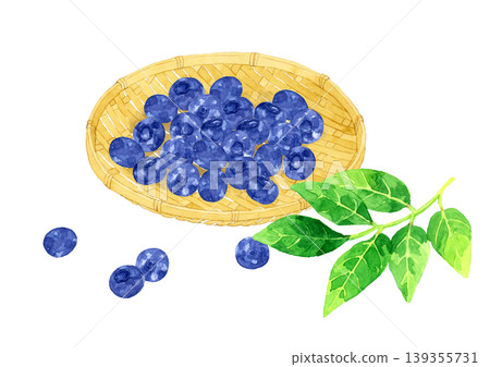 竹籃裡的藍莓-手繪水彩水果插圖 竹籃裡的藍莓-手繪水彩水果插圖 139355731