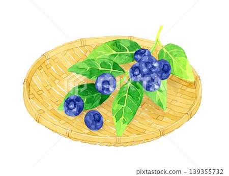 竹籃裡的藍莓-手繪水彩水果插圖 竹籃裡的藍莓-手繪水彩水果插圖 139355732