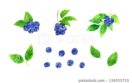 藍莓果實和葉子套裝 - 手繪水彩水果插圖 藍莓果實和葉子套裝 - 手繪水彩水果插圖 139355733