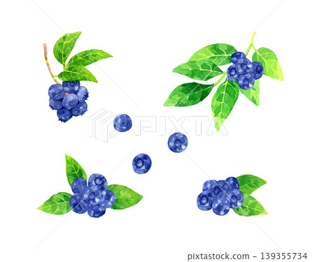 藍莓套裝 - 手繪水彩水果插畫 藍莓套裝 - 手繪水彩水果插畫 139355734