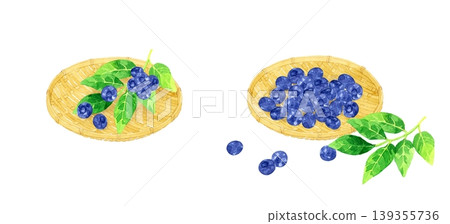 竹籃裡裝著一串藍莓——手繪水彩水果插圖 竹籃裡裝著一串藍莓——手繪水彩水果插圖 139355736