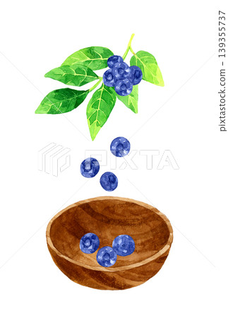 Blueberries with leaves and a wooden bowl - Hand-painted watercolor illustration of fruit Blueberries with leaves and a wooden bowl - Hand-painted watercolor illustration of fruit 139355737