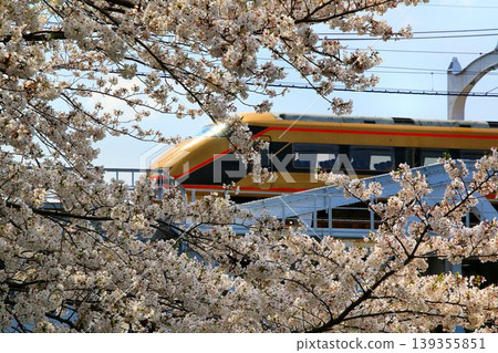 Crossing the Sumida River while admiring the cherry blossoms... Tobu Limited Express [Spacia] 100 series 139355851
