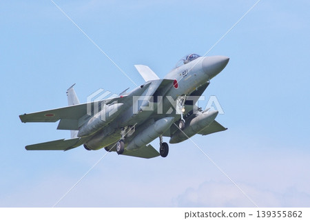 Air Self-Defense Force F-15J preparing to land 139355862