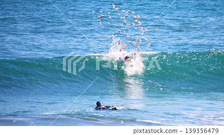 A fleeting moment of the ocean, captured by the splashes of waves during surfing and a flock of birds. A fleeting moment of the ocean, captured by the splashes of waves during surfing and a flock of birds. 139356479