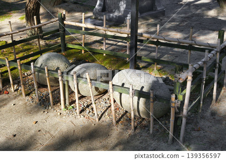 天橋立,知恩寺,力石(力量之石)(京都府宮津市) 天橋立,知恩寺,力石(力量之石)(京都府宮津市) 139356597