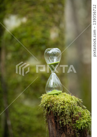 Moss forest and hourglass Moss forest and hourglass 139356712