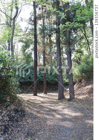 埼玉縣岩槻城遺址景色 埼玉縣岩槻城遺址景色 139356737