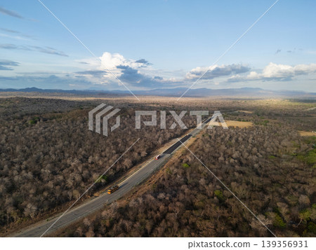 View of a road surrounded by trees in a dry landscape in daylight 139356931
