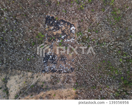 Forest area with land cleared for unknown purpose near river 139356956