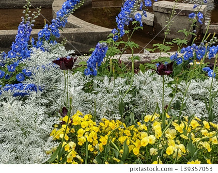 2604 Flowerbed in front of the fountain 2604 Flowerbed in front of the fountain 139357053
