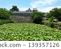 Fukuoka Castle's (alleged) Shiomi Turret and Shimonohashi Gate: Hydrangeas and water lilies in the moat are in full bloom. Fukuoka Castle's (alleged) Shiomi Turret and Shimonohashi Gate: Hydrangeas and water lilies in the moat are in full bloom. 139357126