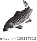 A carp illustration drawn in ink. A carp illustration drawn in ink. 139357318