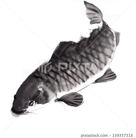 A carp illustration drawn in ink. A carp illustration drawn in ink. 139357318