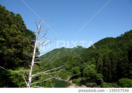 2025年5月3日,從船木橋向東眺望,三重縣瀧郡大台町 2025年5月3日,從船木橋向東眺望,三重縣瀧郡大台町 139357540