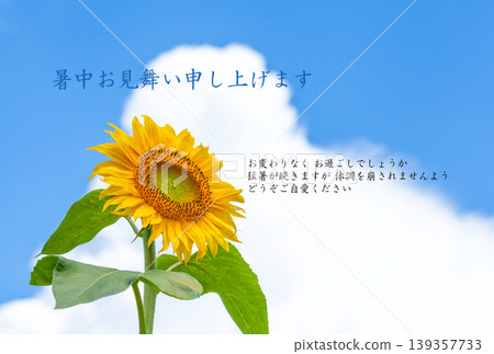 Summer greeting postcard template [Horizontal] 139357733