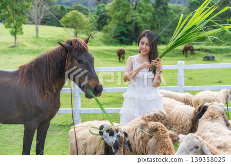Beautiful asian woman feeding grass to flock of sheep and horse on green hill Beautiful asian woman feeding grass to flock of sheep and horse on green hill 139358025